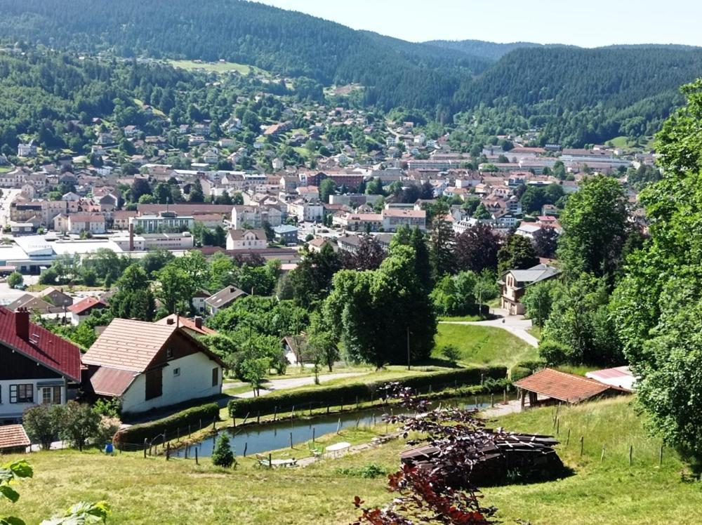 Chalet De Standing 14 Personnes Gérardmer Exterior photo